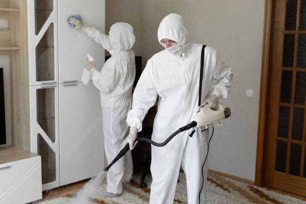 Mold Documentation for Insurance Claims in Calumet City, IL